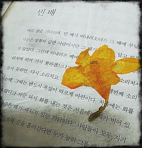 그림을 그립니다 글을 씁니다 노래를 부릅니다