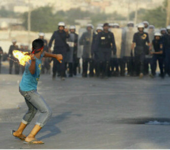 safa_saleh's profile picture. 