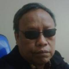 Economic researcher