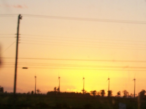 manoelapoa's profile picture. 