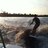 troland12's profile image