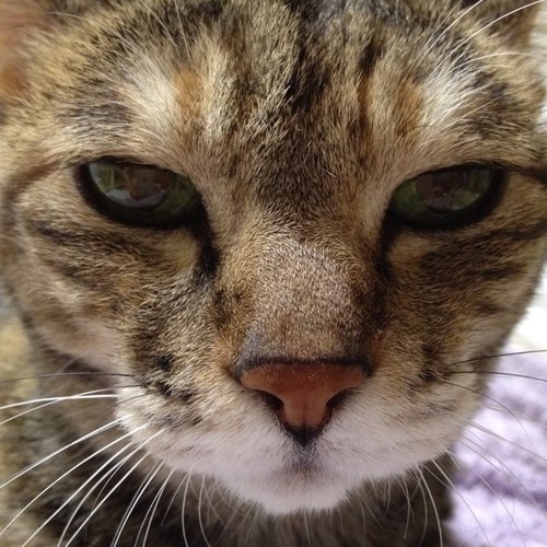 Aphrodite112's profile picture. 