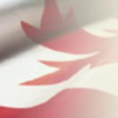 TORONTOID's profile picture. иммиграция в Канаду для инвесторов, предпринимателей и профессионалов