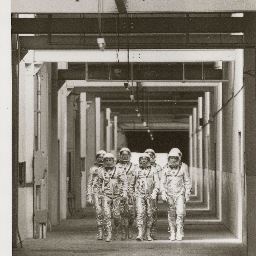 atheistnz's profile picture. 