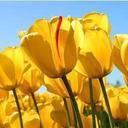 audrey hazel - @audrey_713 - Twitter