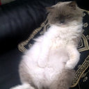 Boni Sam - @Boni_Sam - Twitter