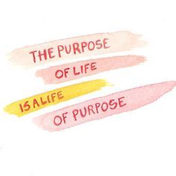 UtiliserCeNom's profile picture. 