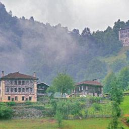 tarakcisulalesi's profile picture. İRTB Fatih YILMAZ @pharmacolog52-05325904230