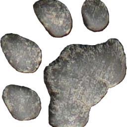 TygriTlapka's profile picture. Věčně nestíhající studentka IT, začínající programátorka a tvůrkyně webových stránek.