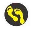 Wicked Kicks on the Web