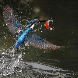 abdulstarkhan's profile picture. 