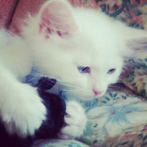 Ranoda_M's profile picture. English Graduate 2011 , Born in 22 Dec, Photographer, Translator \ Interpreter , PR A witty woman is a treasure; a witty beauty is a power. (George Meredith)