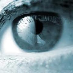 Define Risk Solutions Offer bespoke security training and outsourcing services to both maritime and land based markets.