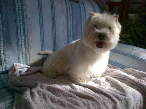 javi_jsm's profile picture. Rock hard, ride free