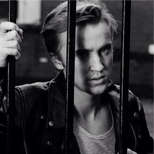 JailedDLMalfoy's profile picture. Jailed account for @ThatBlondeGit