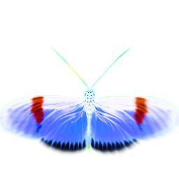 Weight Loss,phobia, pain relief, stress, Talking Therapy, CBT, Lifecoaching, Training & Workshops