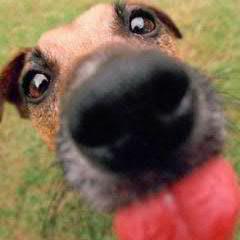 lexakyrepin's profile picture. Закопал топор войны - наточи лопату!