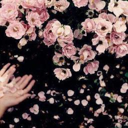 DinaShehada's profile picture. Msc in Computer Engineering #UoS13 #KUSTAR .. not into negative ppl .. Memories Are One's Most Precious Treasure ~