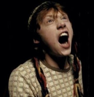 Potterhead for life.Ron Weasley and JK Rowling aficionado. Muggle account: @simjhui I have a strict follow back policy