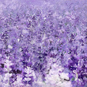 Chen Xing - @ChenXing1 - Twitter