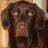 carawinther1's profile image