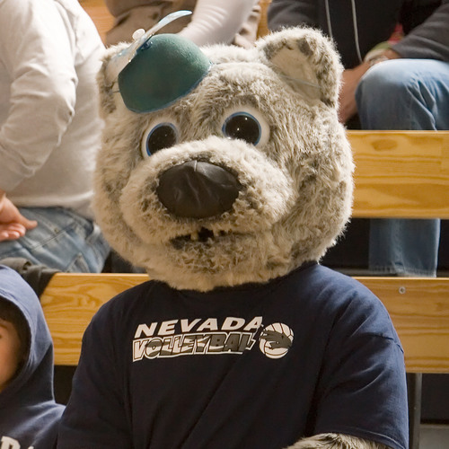 NevadaVB's profile picture. 