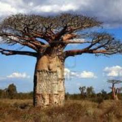 AnnamariaGrazi1's profile picture. Cosa mai possediamo che non abbiamo ricevuto?