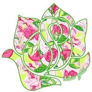 KappaTauAlumnae's profile picture. Alumnae of the Kappa Tau chapter of #DeltaZeta #KTAlumnae Not 4 years, for life!