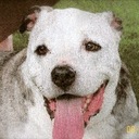 joe crank - @jollyweld - Twitter