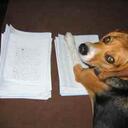 Anne Dotter - @smotter - Twitter