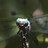 Profile Picture of Lora Bowers (@@lorabowers10) on Twitter