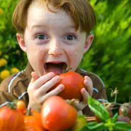 Il supermercato bio