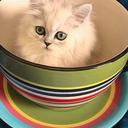 sanaa ali  - @Ali23Sanaa - Twitter