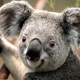 N0vic3's profile picture. Hai. I'm N0vic3 or N0VA. I play lots of things. kthxbai