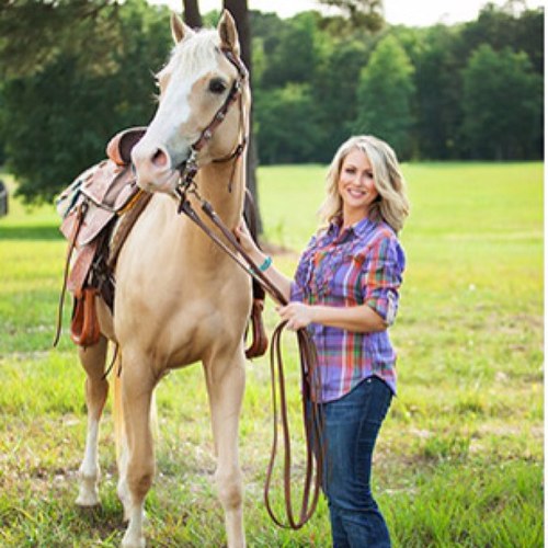 The nation's premier source for beginner and family safe horses!
