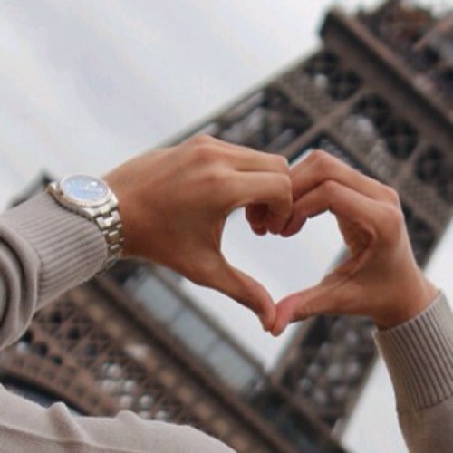 saaud_almutiri's profile picture. 