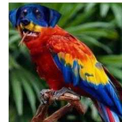 Liliazakharova's profile picture. Жизнь полосатая, у кого рука неволосатая.