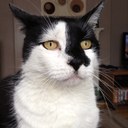 Bob Currie - @Bobitty_Bob - Twitter