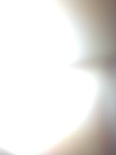 pplsqrl's profile picture. 