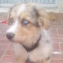 beatrice lyons - @beatricelyons16 - Twitter