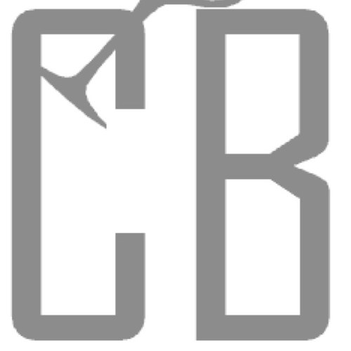 Cafe Bührs | Van der Helstplein 7 | Amsterdam Zuid | 020-7717668 | De Pijp | Gezelligheid kent geen tijd