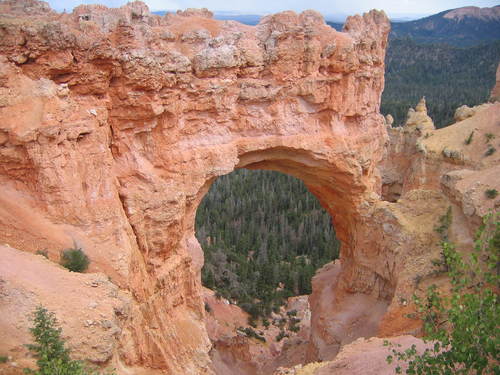 tkoolbeck's profile picture. 