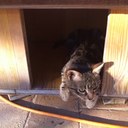 Andrea Marchetti - @mark96andrea - Twitter