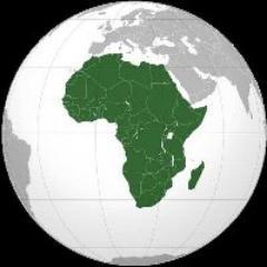 Identifying and capitalizing on opportunities for investment in Africa.