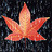 dylizuha's profile image