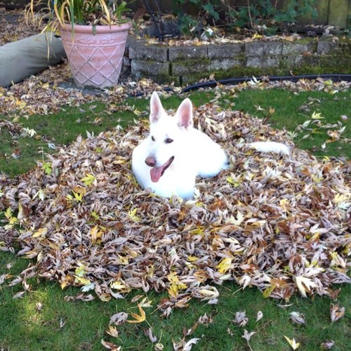 jsteele6's profile picture. Married with 3 children. I'm a Christian.  I work for AT&T in their Supply Chain (all opinions are my own).  Baseball and football fan