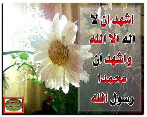 أشهد أن لا إله إلا الله وأن محمد رسول الله