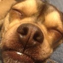 Mason Stone - @FairOaksVillage - Twitter