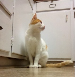 drdirtycurty1's profile picture. ITS Dr.DIRTYCURTY & THE GANG. BITCH!