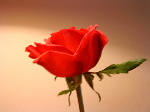 bjf572012's profile picture. 